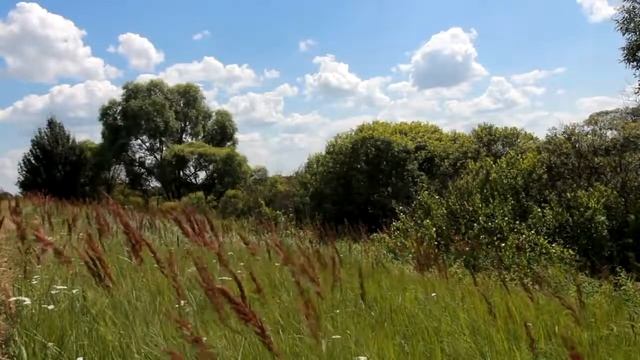BELARUS   КОЖАН   ГОРОДОК Kažan Haradok Белорусская деревня #кожангородок #лунинец #полесье