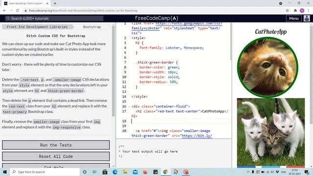 Bootstrap Tutorial 10 - Replacing Few Custom Css With Bootstrap - Freecodecamp