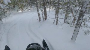 Perfect Sled For The Woods - (2009 Polaris IQ Shift 600)