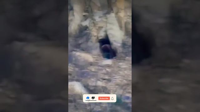 Real giant caught on camera in a cave in Mexico | DARKIVAVERSE