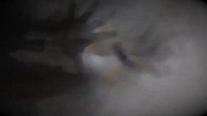 Что скрывают? Ученые изучили превращающего человека в зомби.