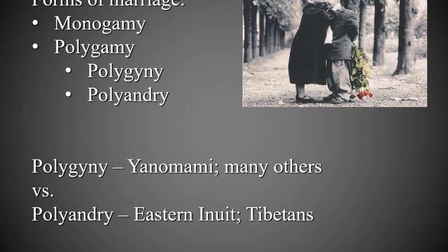 Lecture 2.4: Kinship & Marriage (2): Why do we have families? Why do we marry? смотреть онлайн
