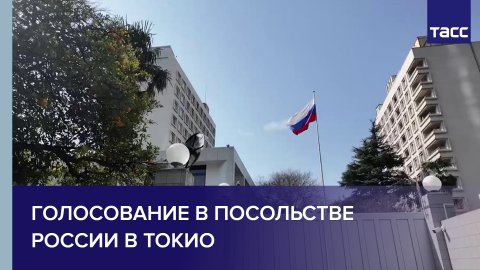 Голосование в российском посольстве в Токио
