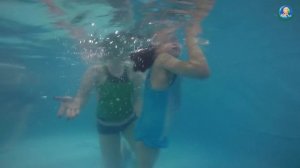 Необычный Новый год!