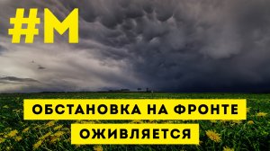 #МОНТЯН: Что происходит в реальности и виртуальности ?