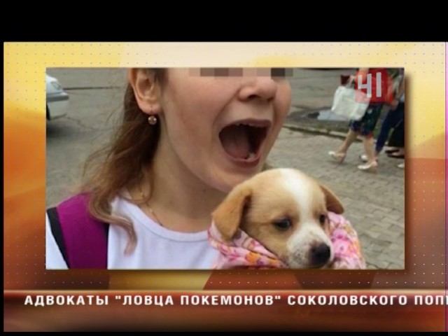 Против живодеров