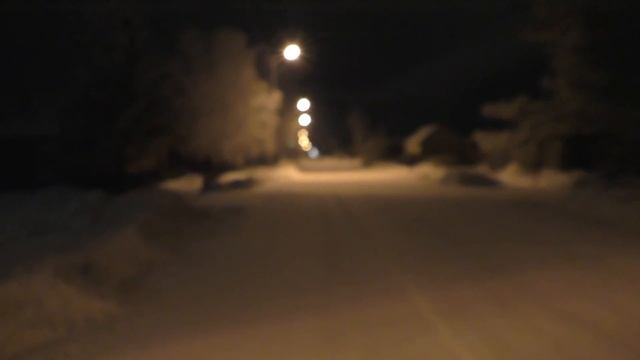 Почему НАДО гулять с собакой В 5 УТРА? Ротвейлер смотреть онлайн