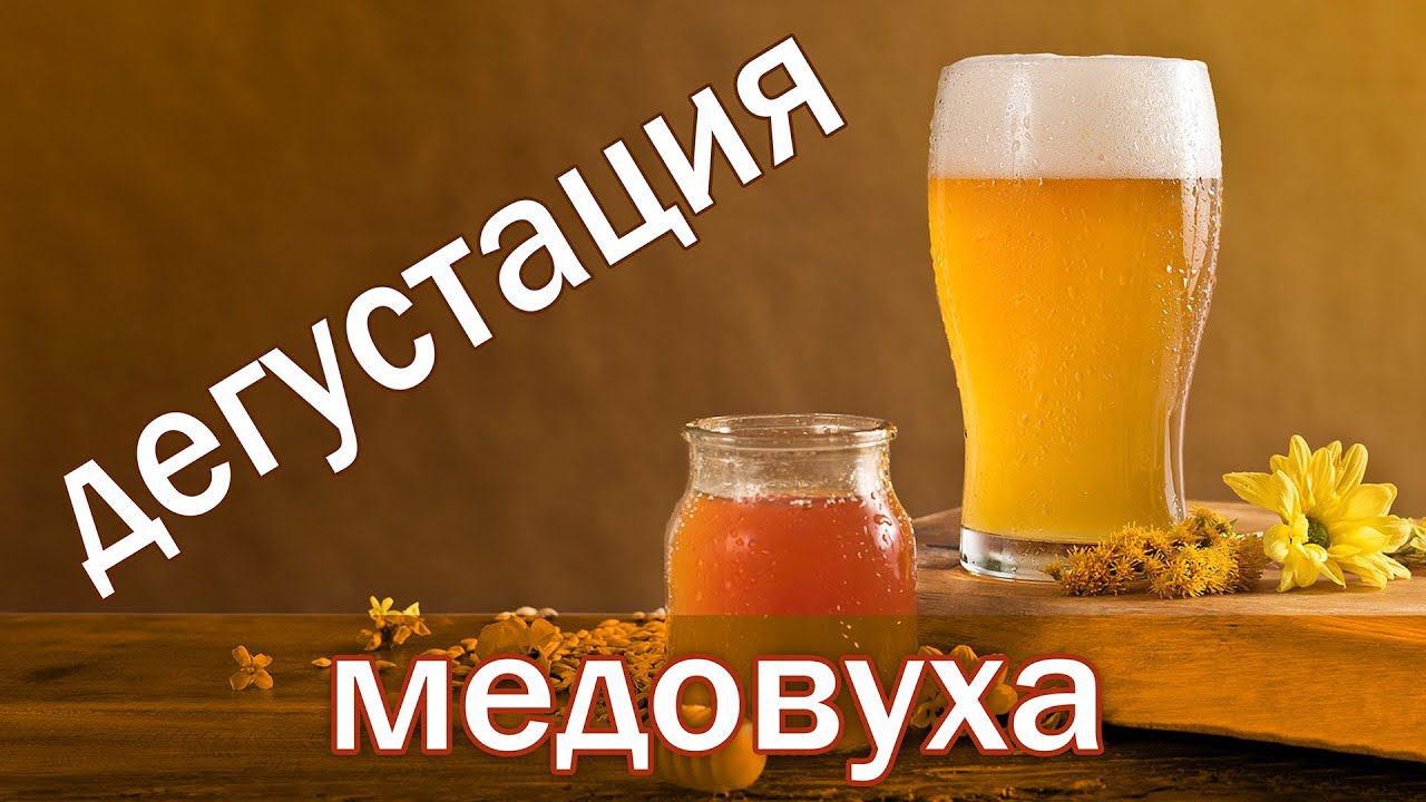 Дегустация охмеленной медовухи или медового пива от канала Свой Среди Своих Кулинария Готовим вместе