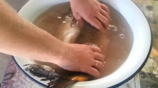 Белый амур и Сазан горячего копчения смотреть онлайн