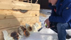 ППУ Горит. Утепление деревянного дома пенополиуретаном.