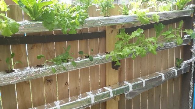 ? ?Гидропоника в любом дворе - это действительно просто! | Hydroponics System - Anywhere??