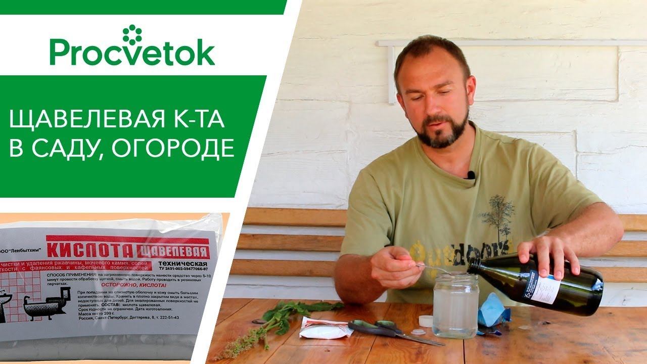 Повысить урожай, уничтожить проволочника, майского жука и отпугнуть медведку. Легко!