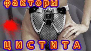 Цистит и его пособники