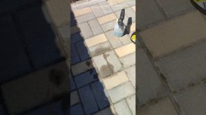 как отмыть тротуарную плитку от масла