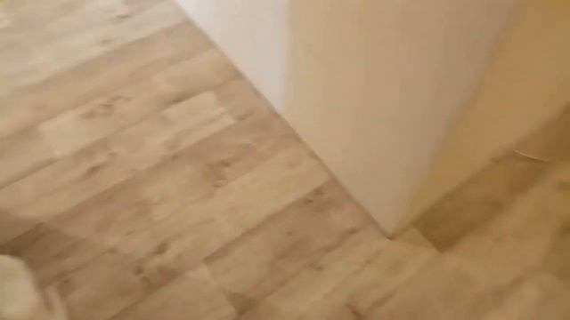 Двух комнатная квартира студия линолеум Ютекс Форум с одним параллельным и одним поперечным стыком смотреть онлайн