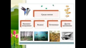Естествознание 5 класс Условия существования жизни
