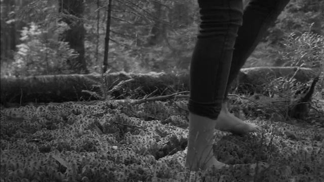 Sonic Meditations (for Pauline)  1:00 Edit