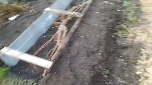 Устройство коробов у винограда