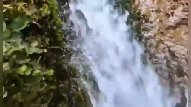 Звуки природы.спокойная музыка.1 час звуков природы.