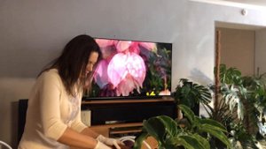 МЕДИНИЛЛА УХОД И ПЕРЕСАДКА 4К