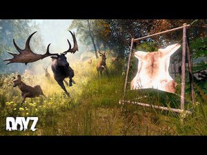 Дубление шкуры DayZ