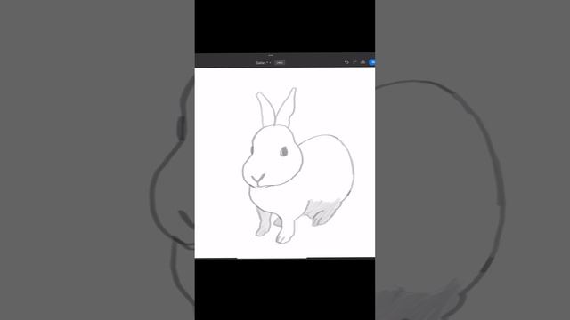 Quick bunny sketch (photoshop)