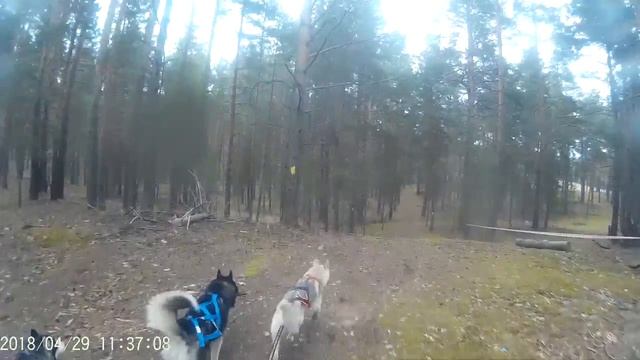 Драйфест 2018 смотреть онлайн