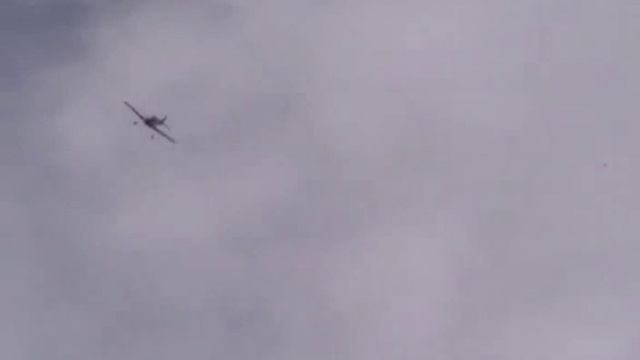 мустанг на впп май.avi смотреть онлайн