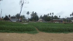 Как прятать фотоаппарат от дождя