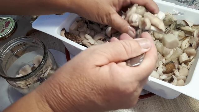ГРИБЫ БЕЗ ПОСЛЕДСТВИЙ- МОЙ РЕЦЕПТ МАРИНОВАНЫХ ГРИБОВ