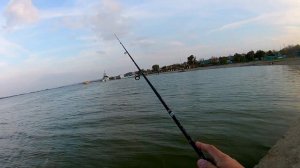 Микроджиг с новой палкой Kingfisher