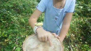 Как узнать сколько лет дереву?