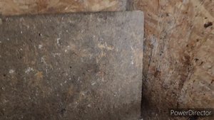 Куры наконец-то перестали КЛЕВАТЬ яйца. Теперь каждый день собираю ТАКОЙ  урожай