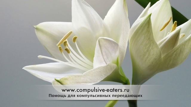 Компульсивное переедание. Трейси.