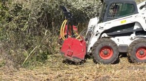 Работа Bobcat 650 с Мульчером