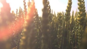 3 Часа прекрасных Осенних красок. Потрясающих природных пейзажей, и расслабляющей музыки.