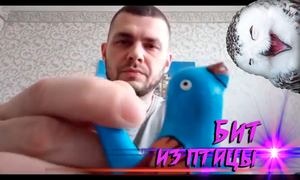 Делаю бит с помощью птицы