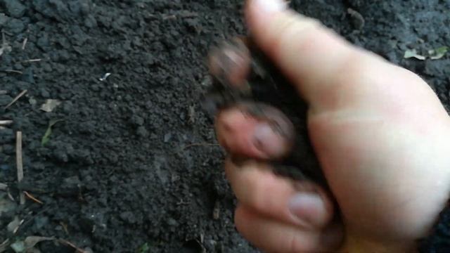 Принцип и результат работы, моего, деструктора стерни☝️. смотреть онлайн