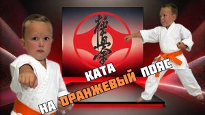 Ката на оранжевый пояс