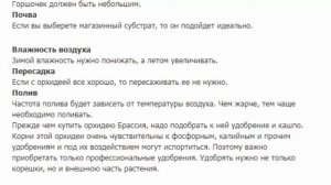 Брассия Rex Красивые растения для дома и сада