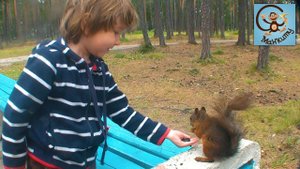 Челлендж (challenge) кормим белок. В этот раз не про машинки. МанкиТайм