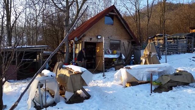 Unul din soc si altul din salcam. смотреть онлайн