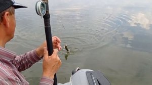 КРУПНЫЙ КАРАСЬ НА ПОПЛАВОК! РЫБАЛКА С ЛОДКИ!