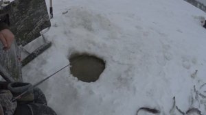 рыбалка в Двинской губе белого моря .ПУРНЕМА МАХАЛКИ