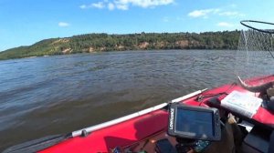 Рыбалка в Нижнем Новгороде судак на джиг