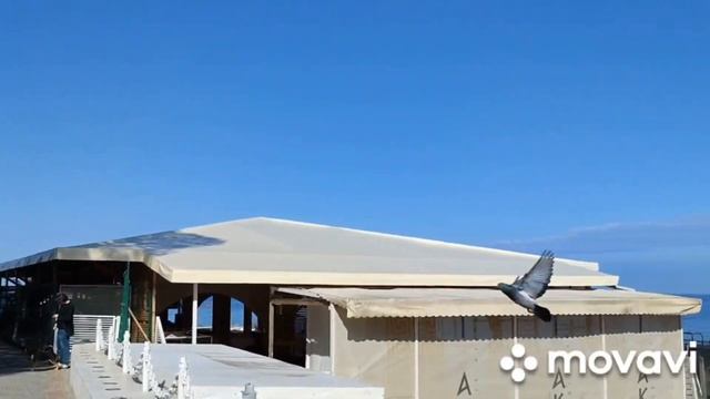 Ситуация в Одессе,1 мая! Нужен ли праздник? Что будет завтра! смотреть онлайн