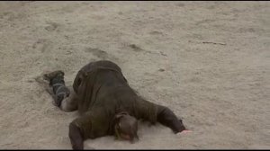 Робин Гуд: Мужчины в трико, 1993. Владимир Маркин: Я готов целовать песок.