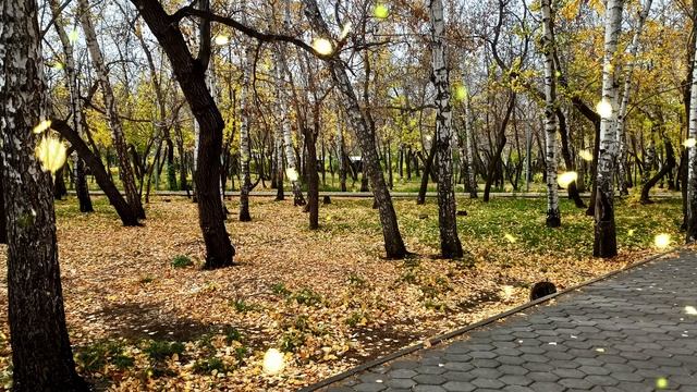 Мама, эту квартиру подарила мне бабушка. Я не отдам её тебе с сестрой смотреть онлайн