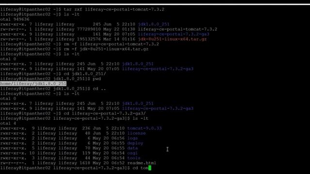 Installing Liferay Linux/Uinux || Create Your Website Without Coding for Beginners || LIFERAY 1.0. смотреть онлайн