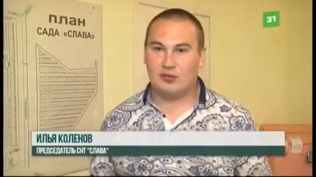 СНТ Слава. Сюжет 31 канала от 3 июня 2019 г смотреть онлайн